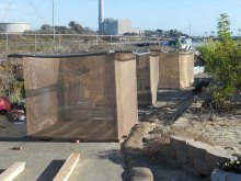 Banker Wire Dives Into Aquaculture at Hubbs-SeaWorld Research Institute